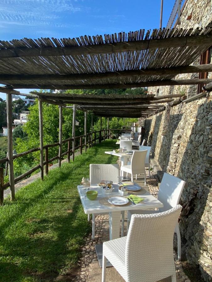 Paradiso Di Manù Noli Esterno foto