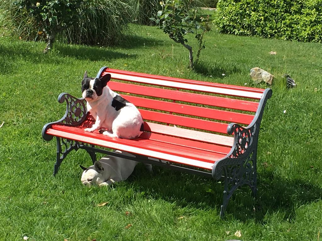 Paradiso Di Manù Noli Esterno foto
