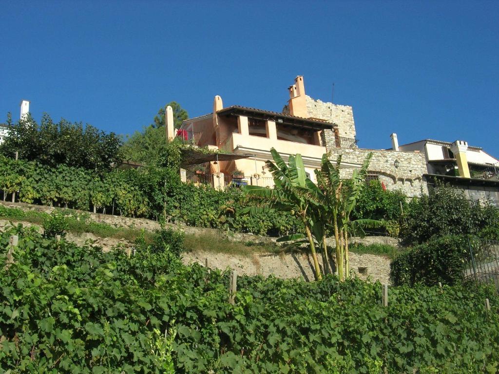Paradiso Di Manù Noli Esterno foto