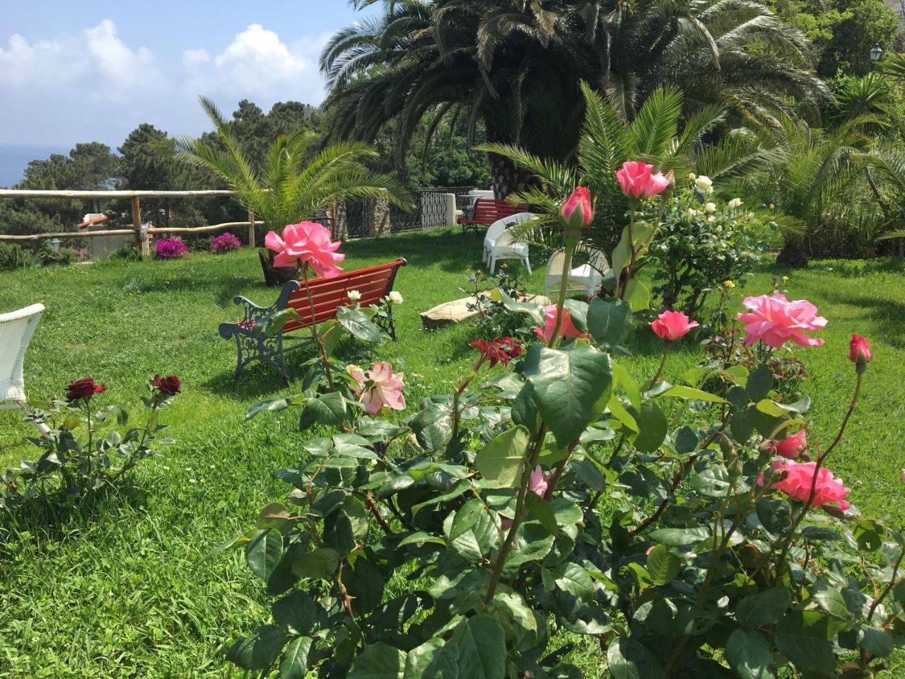 Paradiso Di Manù Noli Esterno foto