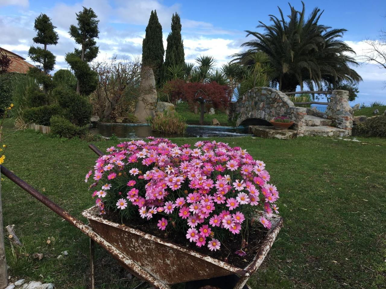 Paradiso Di Manù Noli Esterno foto